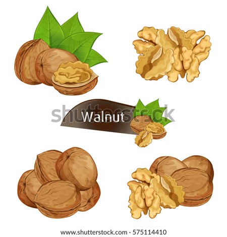 Peeled walnuts in colorful background