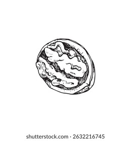 Núcleo de noz no vetor da casca ilustração mão desenhada com tinta. Esboço preto e branco isolado no fundo branco. Objeto para o design do rótulo de bebidas vegetarianas e alimentos
