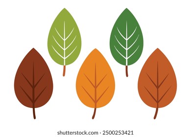 Walnut Leaf Color Art Artistic Representation with Rich Leaf Textures