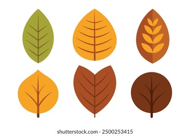Walnut Leaf Color Art Perfect for Nature Inspired Home Decor