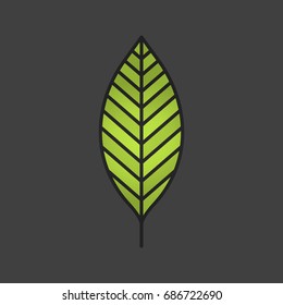 Walnut leaf color icon. Isolated vector illustration