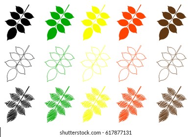 walnut leaf - color set, walnut leaf,