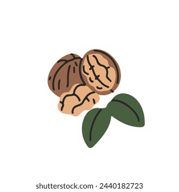 Walnut with leaves. Nut with nutshell. Tasty superfood, healthy vegan snack, organic food. Natural source of fats for vegetarian. Ripe kernel. Flat isolated vector illustration on white background