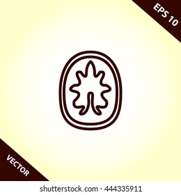 walnut line icon