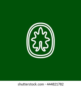 walnut line icon