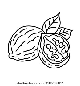 Icono de la línea de la nuez. Ingrediente de cocina. Tamaño de trazo editable. Ilustración de boceto de nueces.