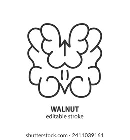 Walnut line icon. Nut symbol. Vector illustration. Editable stroke.