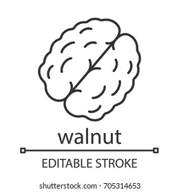Walnut linear icon. Thin line illustration. Contour symbol. Vector isolated outline drawing. Editable stroke