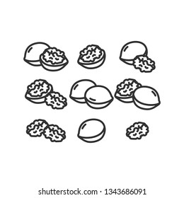 Walnut linear illustration
