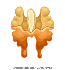 Walnut in liquid caramel. Nutritious natural sweet dessert vector illustration