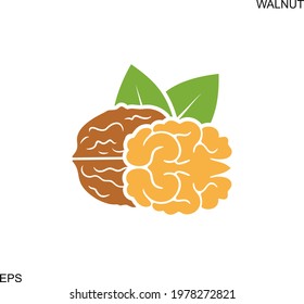 Walnut logo. Isolated walnut on white background