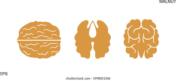 Walnut logo. Isolated walnut on white background. Set 