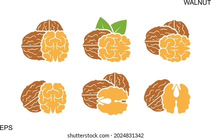 Walnut logo. Isolated walnut on white background. Set