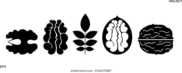 Walnut logo. Isolated walnut on white background 