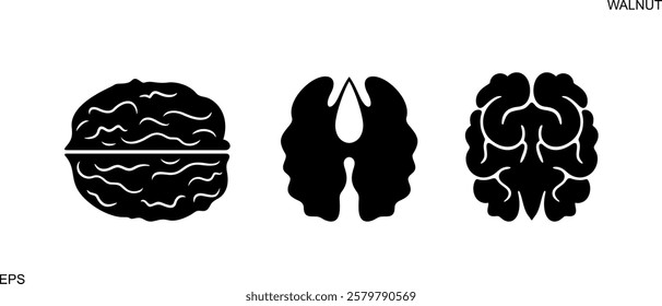 Walnut logo. Isolated walnut on white background. Set 