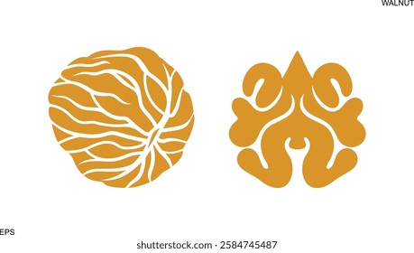 Walnut logo. Isolated walnut on white background