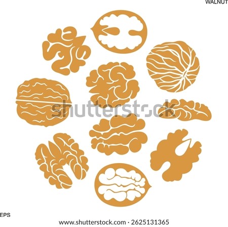 Walnut logo. Isolated walnut on white background