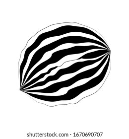 Walnut. Monochrome isolated vector element for design.
