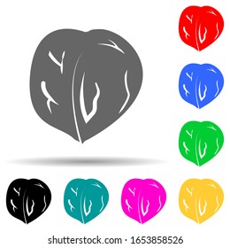 Walnut multi color style icon. Simple glyph, flat vector of nuts icons for ui and ux, website or mobile application