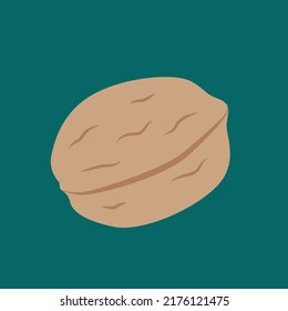 Walnut, nut, front view, illustration