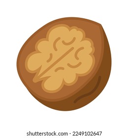 Walnut nut icon. Walnuts in nutshell. Vector illustration isolated on white background.