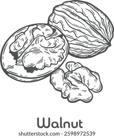 Walnut nut seed allergy food ingredient organic cosmetics treatment component