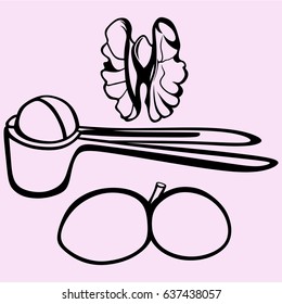 walnut and nutcracker vector silhouette isolated 