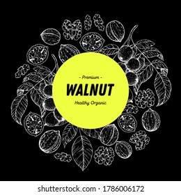 Walnut nuts hand drawn sketch. Walnut label, logo. Nuts vector illustration. Organic healthy food. Great for packaging design. Engraved style. Black and white color.