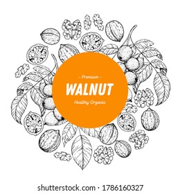 Walnut nuts hand drawn sketch. Walnut label, logo. Nuts vector illustration. Organic healthy food. Great for packaging design. Engraved style. Black and white color.