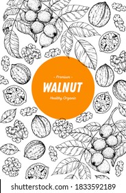 Walnut nuts hand drawn sketch. Nuts vector illustration. Organic healthy food. Great for packaging design. Engraved style. Black and white color.