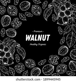 Walnut nuts hand drawn sketch. Nuts vector illustration. Organic healthy food. Great for packaging design. Engraved style. Black and white color.