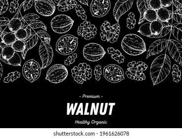 Walnut nuts hand drawn sketch. Nuts vector illustration. Organic healthy food. Great for packaging design. Engraved style. Black and white color.