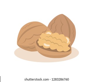 Walnut nuts isolated on white background.