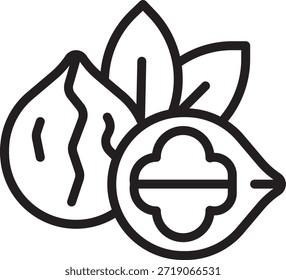 Ícone de linha nozes de noz isolado no fundo branco. Black outline ilustração de ingrediente alimentar saudável que representa nutrição orgânica, dieta vegana, fonte de proteína, lanche, agricultura e conceitos de alimentos naturais.