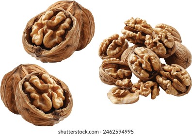 walnut nutshell fruit isolated on white background