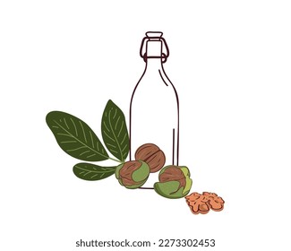 Walnut oil. Doodle vector illustration