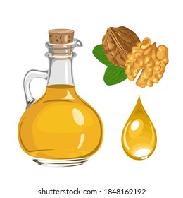 Walnut oil in glass bottle and drop isolated on white. Vector food illustration. Cartoon flat style.