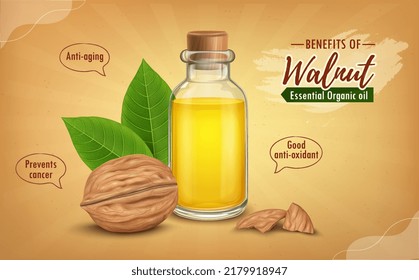 Walnut with oil and pieces vector illustration on brown background 