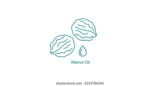 Walnut Oil Premium Cooking Supplement Vector Icon