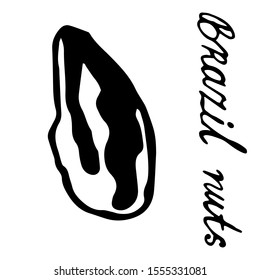 Walnut on an isolated white background hand-drawn. Black outline of a Brazil nut.