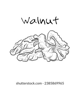 walnut outline vector design illustration suitable for food product, label, sticker, template, cartoon, icon 