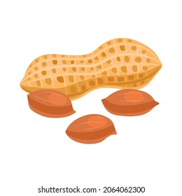 Walnut peanut in cartoon flat style. Vector illustration on white background.