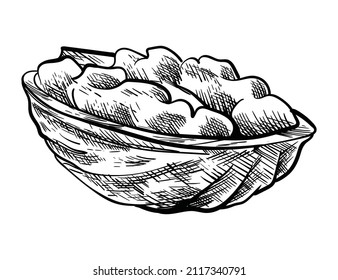 Pieza de nogal. Esbozo de tinta dibujado a mano de la tuerca para el diseño del mercado de la plantilla de etiqueta, el embalaje o el emblema. Alimentos naturales saludables. Técnica gráfica manuscrita, ilustración grabada