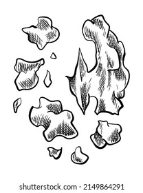 Walnut piece. Hand drawn ink sketch of nut for label template, packing or emblem farmer market design. Natural healthy food. Handwritten graphic technique, engraved illustration