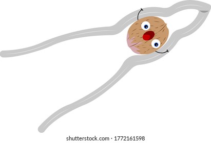 walnut scared cartoon character screams with fear he lies in a metal nut cracker food concept Object on a white background