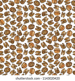 Walnut Seamless Endless Pattern. Whole and Peeled Walnuts. Autumn or Fall Harvest Collection. Realistic Hand Drawn High Quality Vector Illustration. Doodle Style.