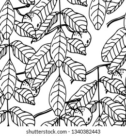 walnut seamless floral pattern hand drawn