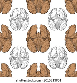 walnut seamless pattern vector color