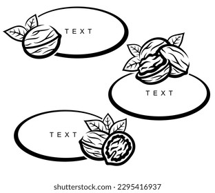 Walnut set. Collection icon walnut. Vector