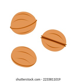 Walnut shaped cookies with boiled condensed milk. Homemade tasty dessert. Hand-drawn colored flat vector illustration isolated on white background.